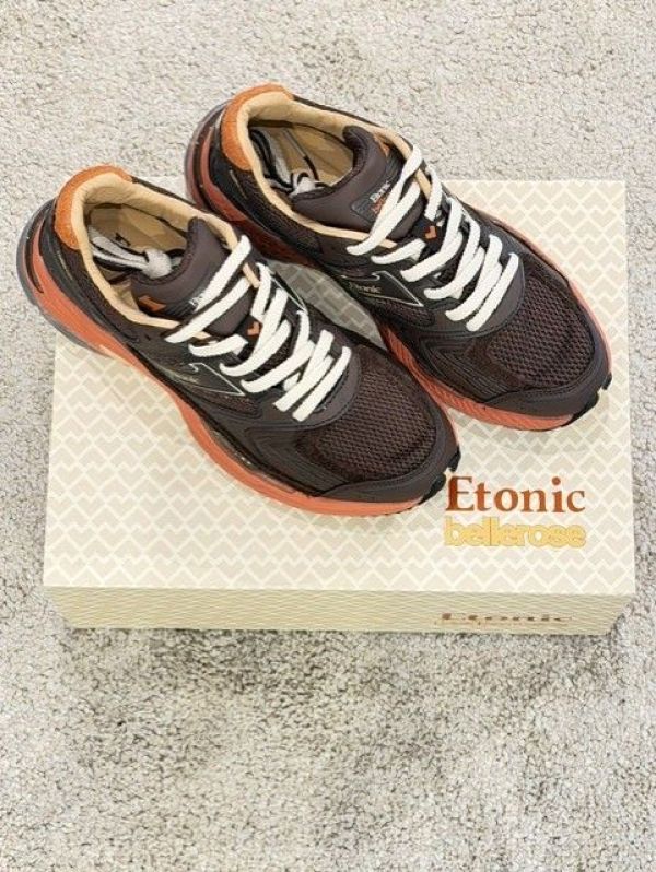 EVOLUTION BELLEROSE (26-2-EVOLUTION BELLEROSE) - Pastine - Aartselaar