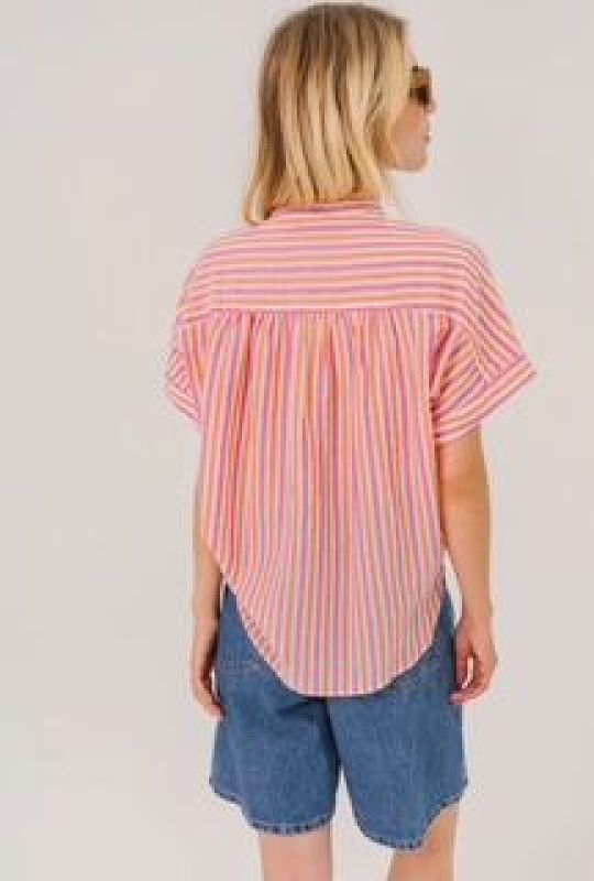 LOUISON SALVATOR (26-1-LOUISON SALVATOR) - Pastine - Aartselaar