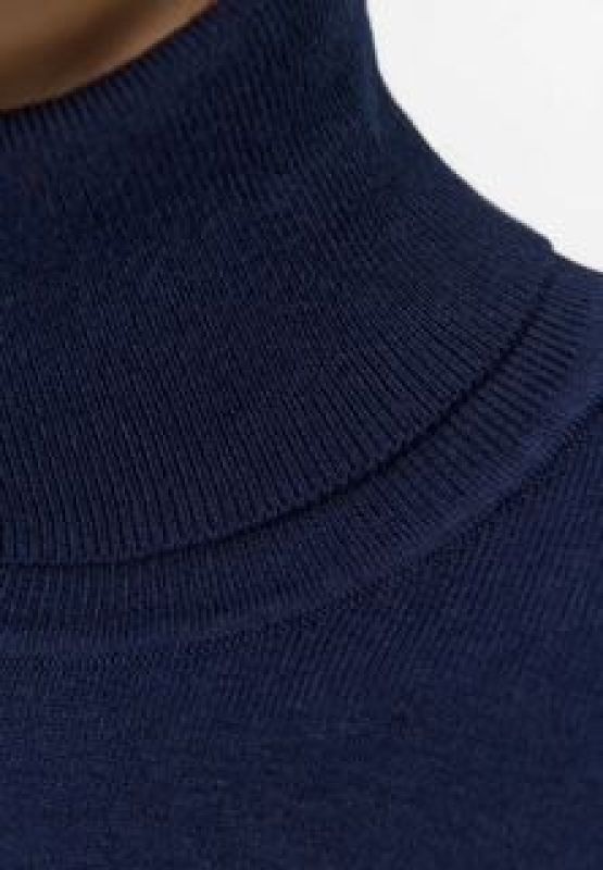 ROLL NECK PULL (25-2-W03-1004-ROLL NECK PULL) - Pastine - Aartselaar