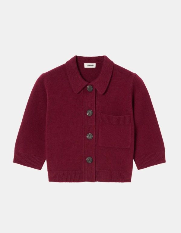 POLO CARDIGAN (25-2-W03-2002-POLO CARDIG) - Pastine - Aartselaar